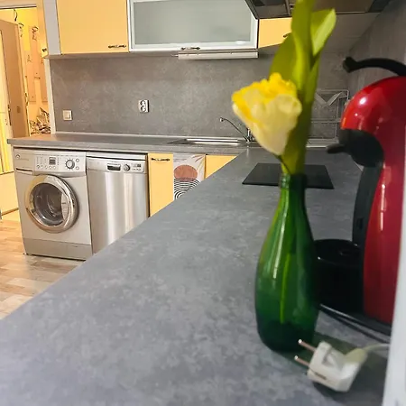 アパート Green Central Apartment *